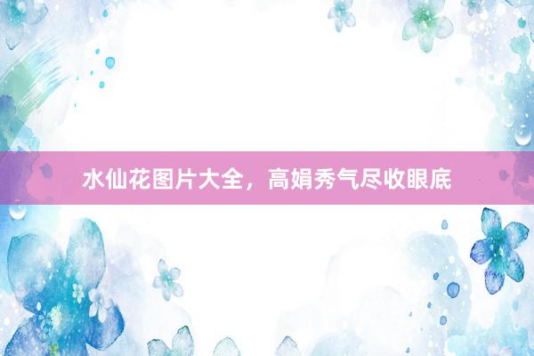 水仙花图片大全,高娟秀气尽收眼底